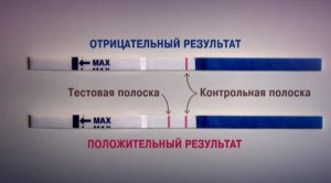 Минздрав СССР : Приказ 1030 от (с изм) Лунный календарь зачатия на декабря 2017 года: влияние, благоприятные