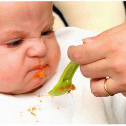 Ребенок отказывается от первого прикорма. Основные причины отказа Ребенок отказывается от первого прикорма. Основные причины отказа