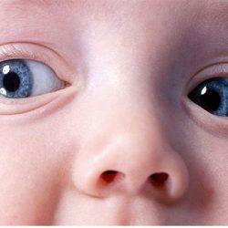 Зрение новорожденных и детей до года. Развивающие игры для зрения