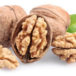 Можно ли есть орехи при кормлении грудью? Можно ли есть орехи при кормлении грудью?