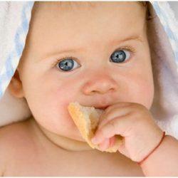 Питание 6 месячного ребенка. На пути к взрослому рациону Питание 6 месячного ребенка. На пути к взрослому рациону