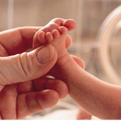 Cкрининг новорожденных, или "пяточный тест" Cкрининг новорожденных, или "пяточный тест"