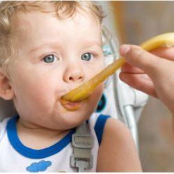 Каким должно быть питание годовасика? Каким должно быть питание годовасика?