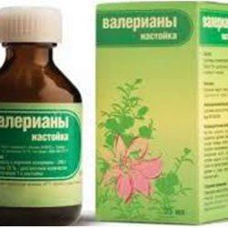 Можно ли пить валерьянку при грудном вскармливании? Есть ли риски и побочные действия? Можно ли пить валерьянку при грудном вскармливании? Есть ли риски и побочные действия?