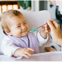 Основные продукты прикорма малыша в 8 месяцев Основные продукты прикорма малыша в 8 месяцев