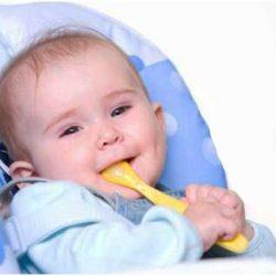 Правила суточного рациона питания 9 месячного ребенка Правила суточного рациона питания 9 месячного ребенка