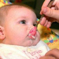 Как правильно вводить прикорм 5 месячному ребенку. Рацион грудничка и искусственника Как правильно вводить прикорм 5 месячному ребенку. Рацион грудничка и искусственника