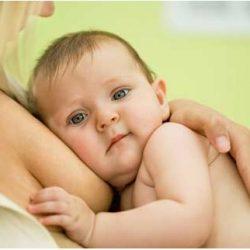 Основные причины, почему кроха отказывается от груди матери Основные причины, почему кроха отказывается от груди матери