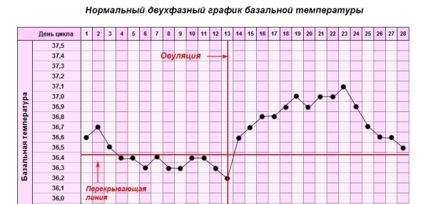 Нормальный двухфазный график базальной температуры