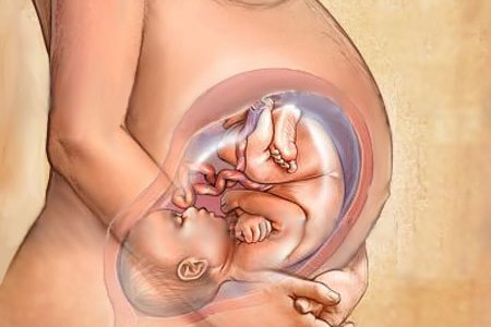 Правильное положение ребенка на 33 неделе беременности