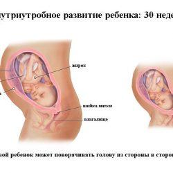 30 неделя беременности