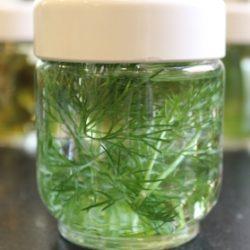 Укропная водичка для новорожденных - разбираемся, как приготовить Укропная водичка для новорожденных — разбираемся, как приготовить