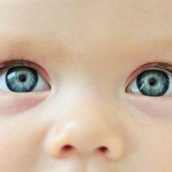 У новорожденного гноится глаз - как и чем лечить? У новорожденного гноится глаз - как и чем лечить?