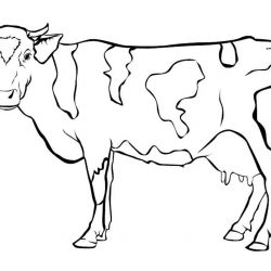 Корова и Бык раскраски