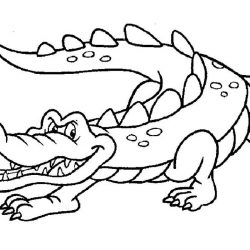 Крокодил - раскраски