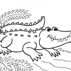 Крокодил - раскраски