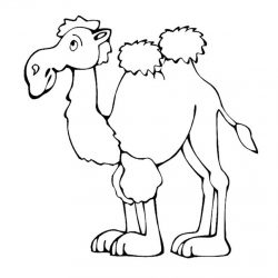 Верблюд - раскраски
