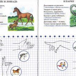 Развиваем моторику -  стихи и движения