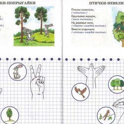 Развиваем моторику -  стихи и движения