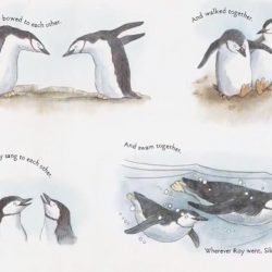 Сказка — Маленький пингвин Рой