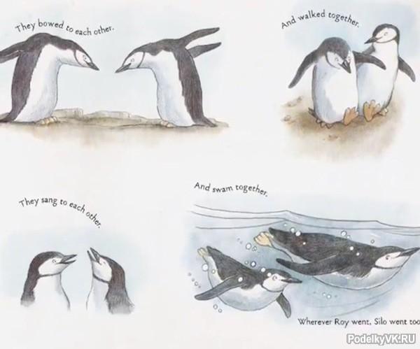Сказка - Маленький пингвин Рой