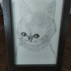 Учимся рисовать кота Учимся рисовать кота