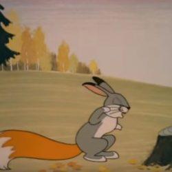 Мультик - Хвосты Мультик — Хвосты