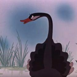 Мультик - Это что за птица Мультик — Это что за птица