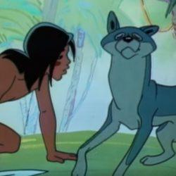 Мультик - Маугли все серии Мультик — Маугли все серии