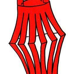 Делаем аппликацию - бумажный фонарик Делаем аппликацию — бумажный фонарик