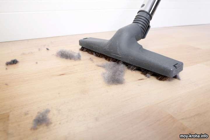 частичках домашней пыли