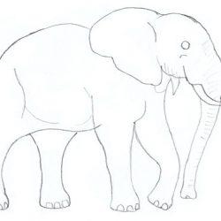 Как нарисовать слона Как нарисовать слона