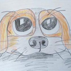 Рисунок - Мой любимый Арчи Рисунок — Мой любимый Арчи