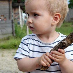 Малыш лупит родителей – как быть? Малыш лупит родителей – как быть?