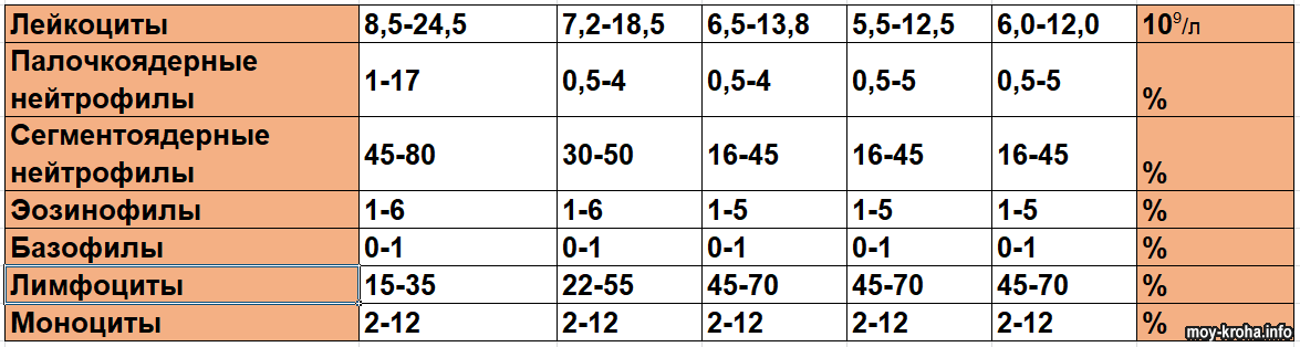 Лейкоциты в 6 месяцев. Нейтрофилы сегментоядерные норма у ребенка 2 года. Нейтрофилы сегментоядерные норма у ребенка 8 лет. Нейтрофилы сегментоядерные норма у ребенка 2 года в крови. Норма лейкоцитов у ребенка 3 года.