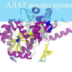 АЛАТ АЛАТ