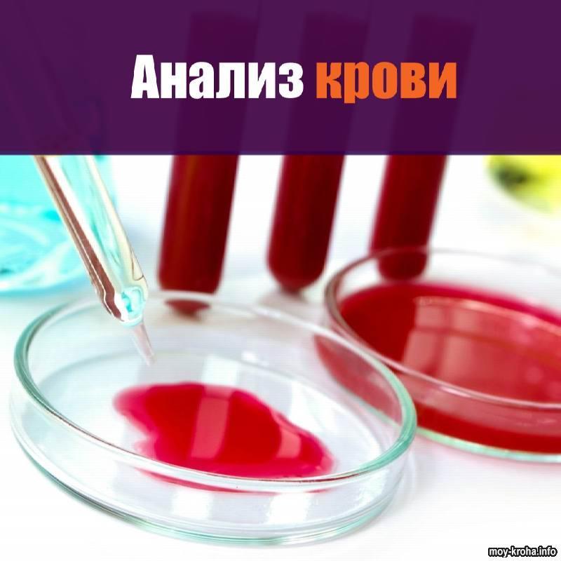 Кровь из вены натощак или нет | Moy-Kroha.INFO