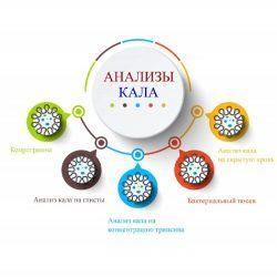 Как сдавать анализ кала Как сдавать анализ кала