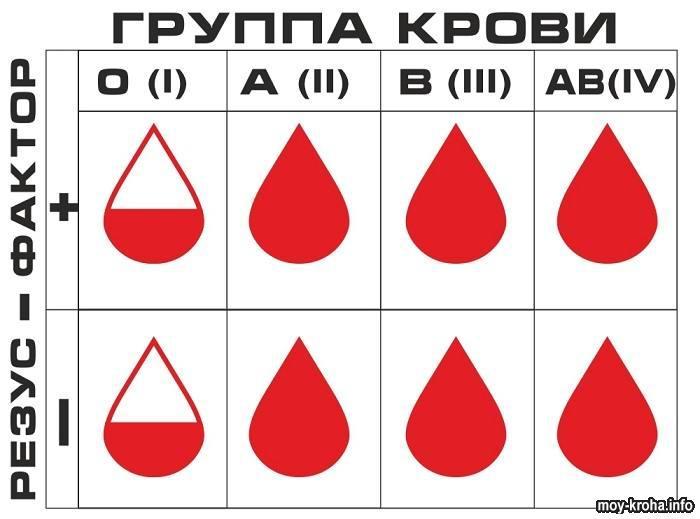 Анализ на группу крови