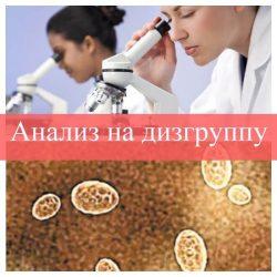 Анализ на дизгруппу Анализ на дизгруппу