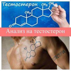 Анализ на тестостерон Анализ на тестостерон