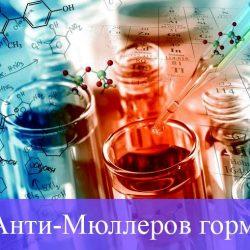 АМГ гормон АМГ гормон