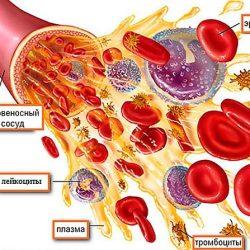 Тромбокрит Тромбокрит