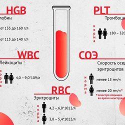 WBC в анализе крови WBC в анализе крови