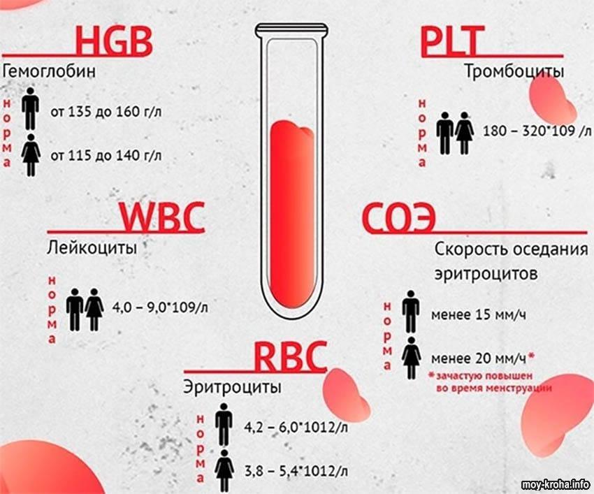 wbc анализ крови норма у детей 3 лет