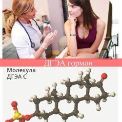 ДГЭА гормон ДГЭА гормон