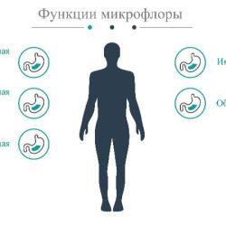 Анализ кала на дисбактериоз Анализ кала на дисбактериоз