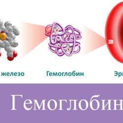 Гемоглобин норма