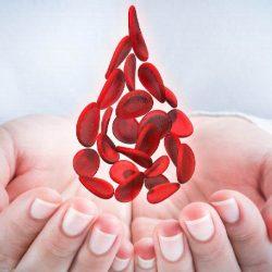 hgb в анализе крови hgb в анализе крови