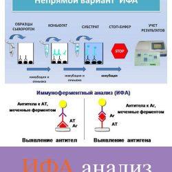 ИФА анализ ИФА анализ